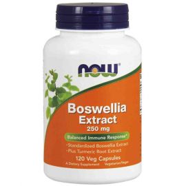 NOW Boswellia Extract 250 mg